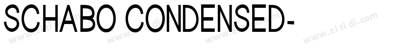 SCHABO CONDENSED字体转换